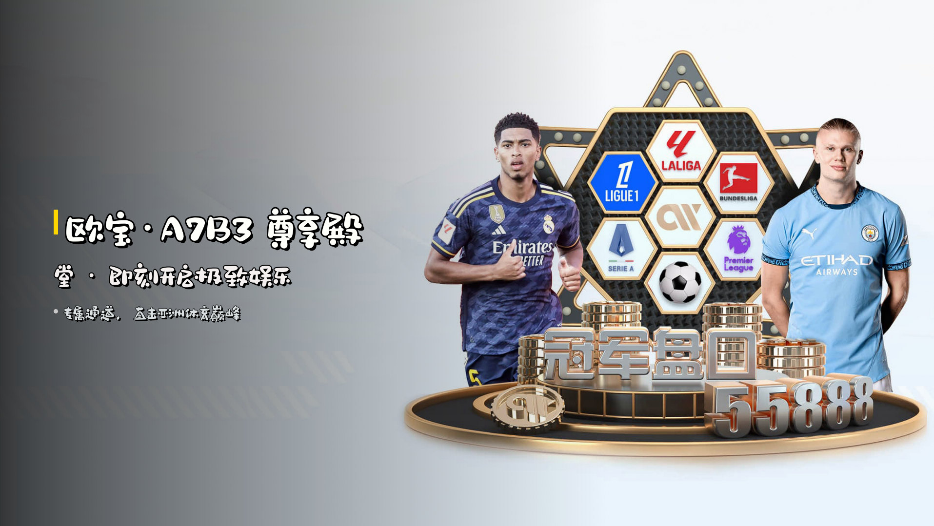 欧宝(OB)官方网站 · 极致娱乐体验 · A7B3